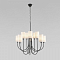 Люстра Eurosvet 60164/10 черный