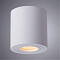 Светильник Arte Lamp A1460PL-1WH
