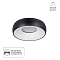 Светильник Arte Lamp A6665PL-1BK