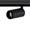 Arte Lamp A7275PL-1BK