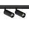 Arte Lamp A7280PL-2BK